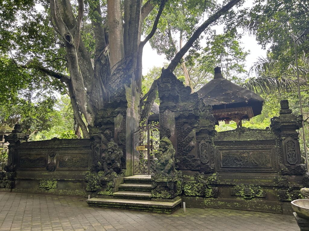 Monkey Forest Ubud - las małp 2 las małp Ubud świątynia Hinduska w lesie na Bali