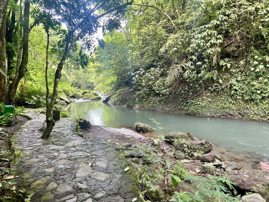 Aling Aling na Bali poczuj adrenalinę skacząc do wodospadów 1 Aling Aling na Bali poczuj adrenalinę skacząc do wodospadów -