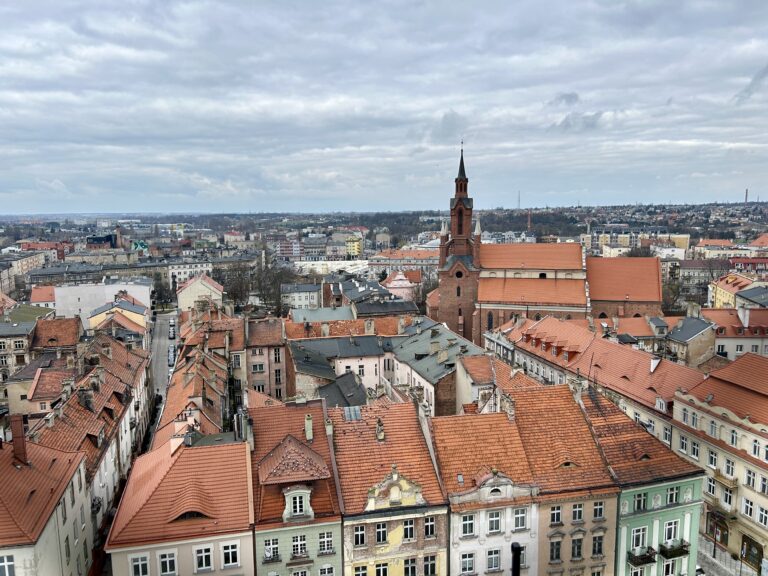 widok z wieży ratuszowej w Kaliszu