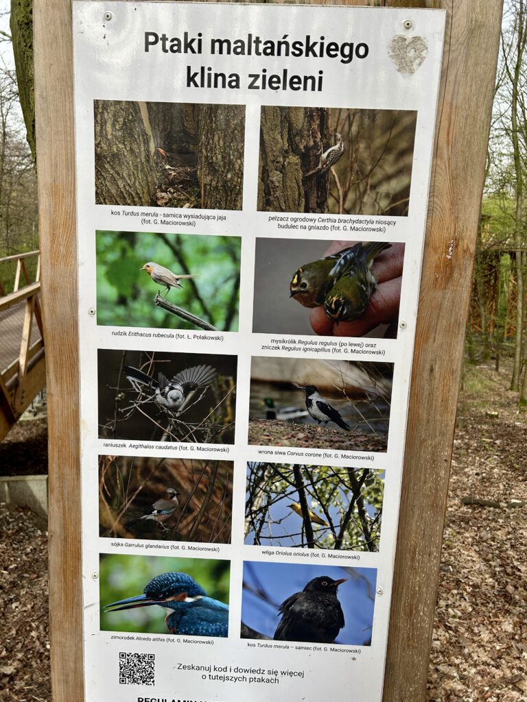 tablica informacyjna o zwierzętach i roślinach w lesie w koronach drzew