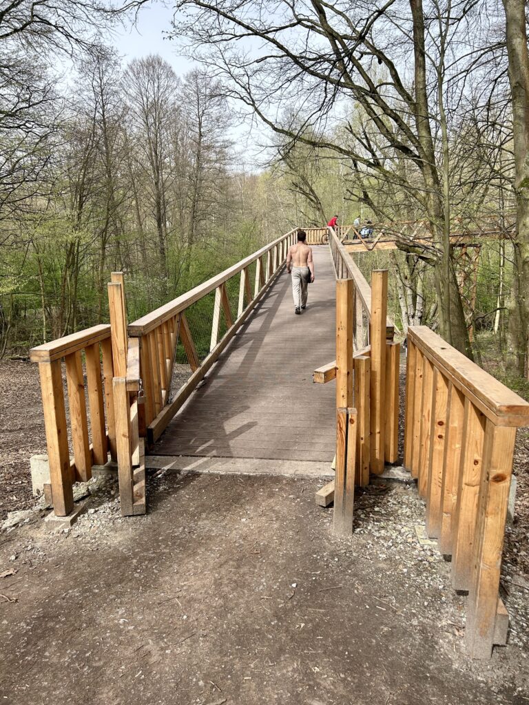 wejście na most w koronach drzew w Poznaniu