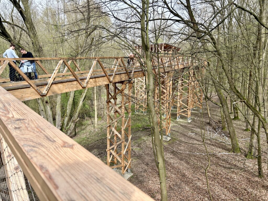 most między drzewami do podglądania ptaków nad jeziorem Malta