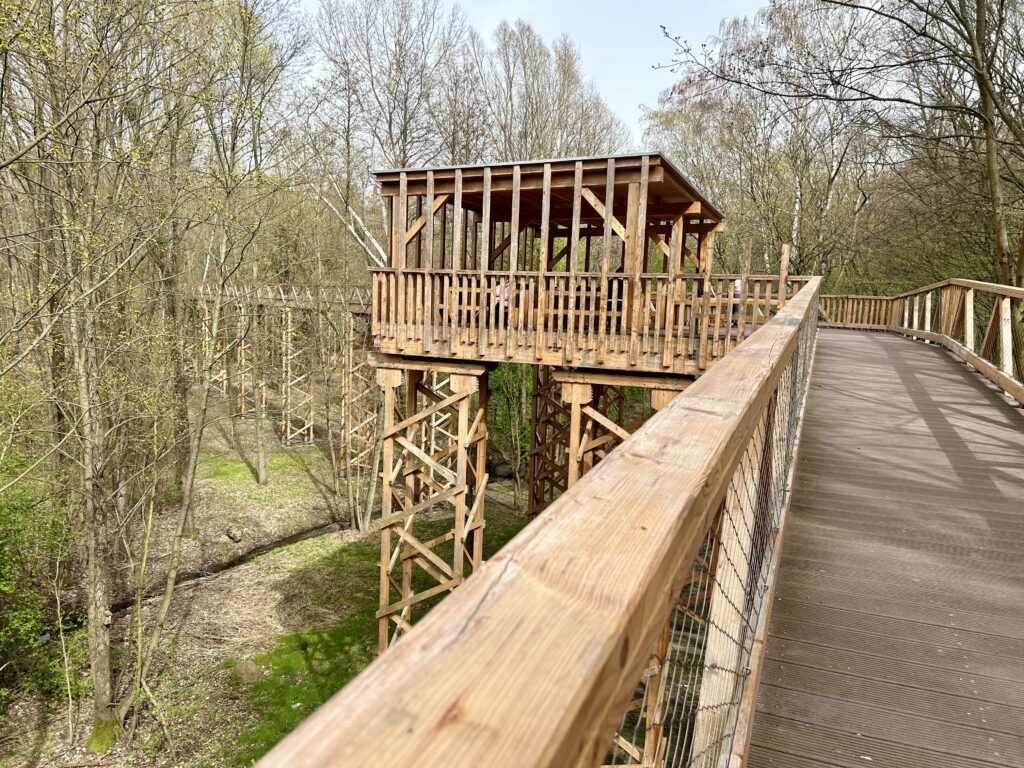 fragment trasy z miejscem wypoczynkowym w koronach drzew Malta Poznań