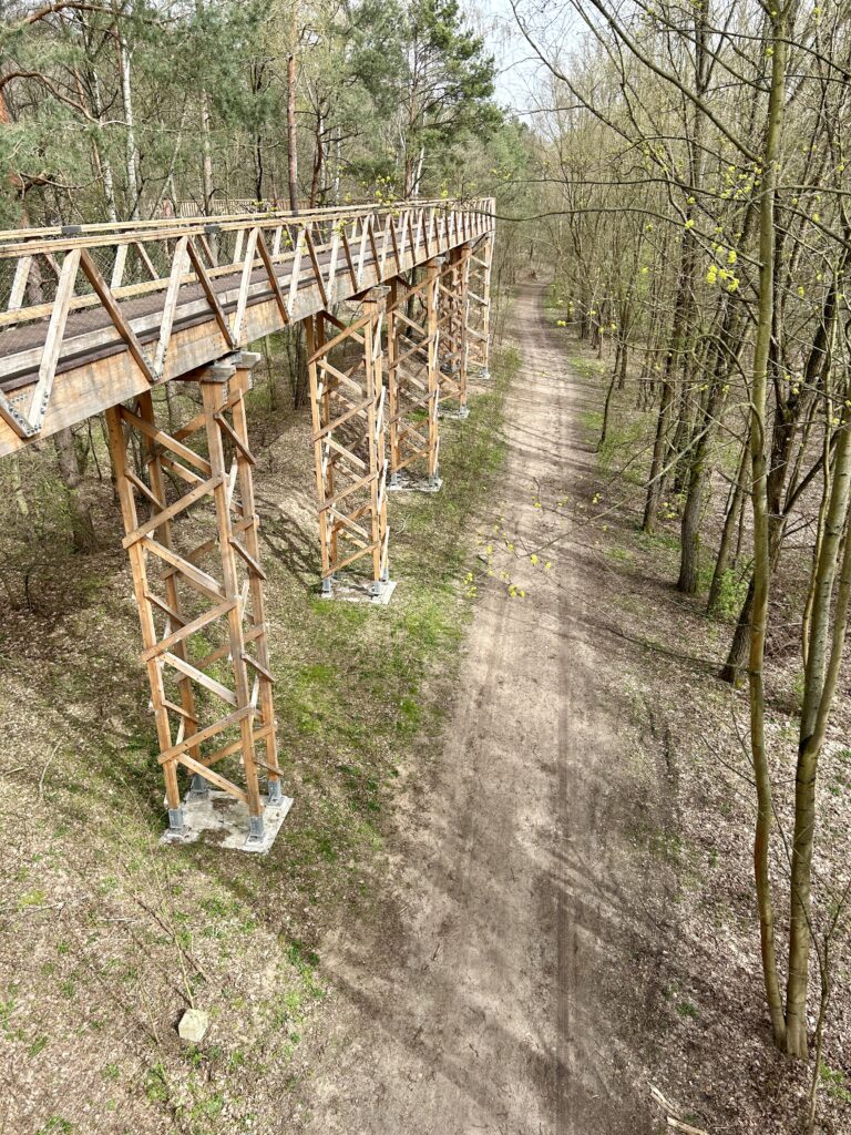 widok na most oraz trase dołem w lesie koło jeziora Malta w Poznaniu