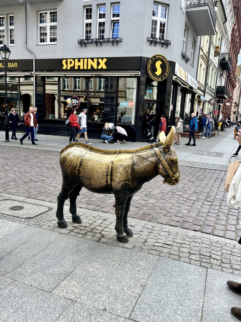 Rynek Staromiejski w Toruniu - historia, legendy, ciekawostki 7 osioł na rynku staromiejskim w Toruniu
