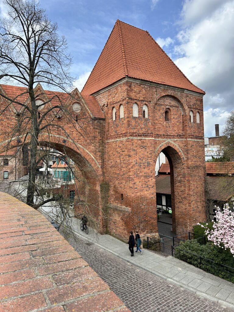 Ruiny zamku Krzyżackiego w Toruniu - historia, ciekawostki - czy warto odwiedzić? 5 Gdanisko - wieża ustępowa - Pozostałości zamku krzyżackiego w Toruniu