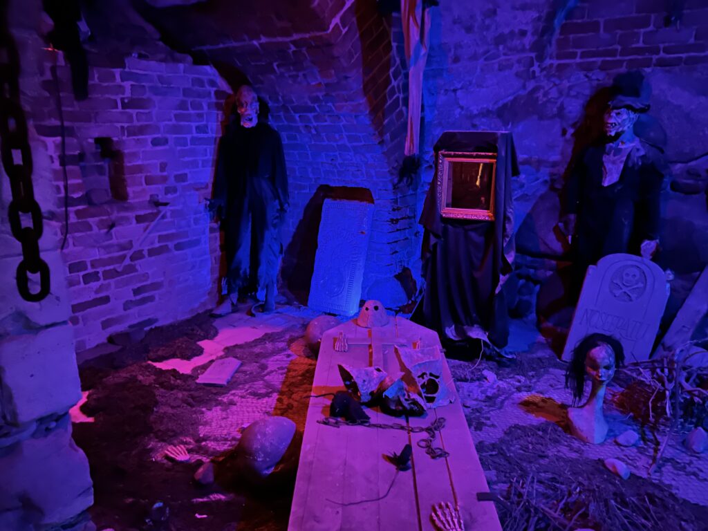 Ruiny zamku Krzyżackiego w Toruniu - historia, ciekawostki - czy warto odwiedzić? 8 legendy zamku w krzyżackiego Toruniu