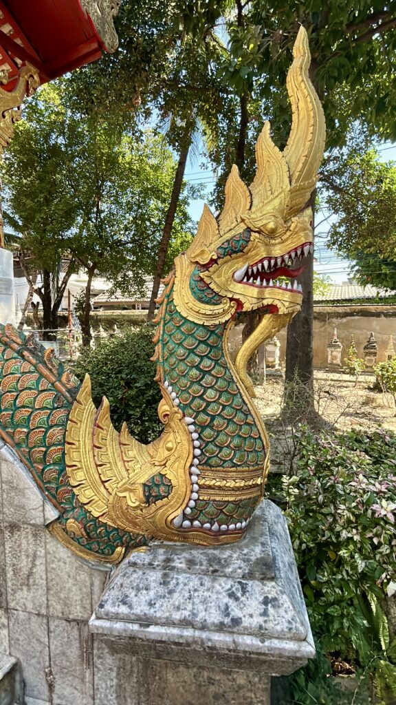 Chiang Mai - miasto na północy Tajlandii z bogatą historią 3 Buddyjski święty wąż w świątynia w Chiang Mai