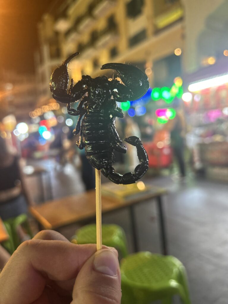 skorpion do jedzenia na khao san road Bangkok