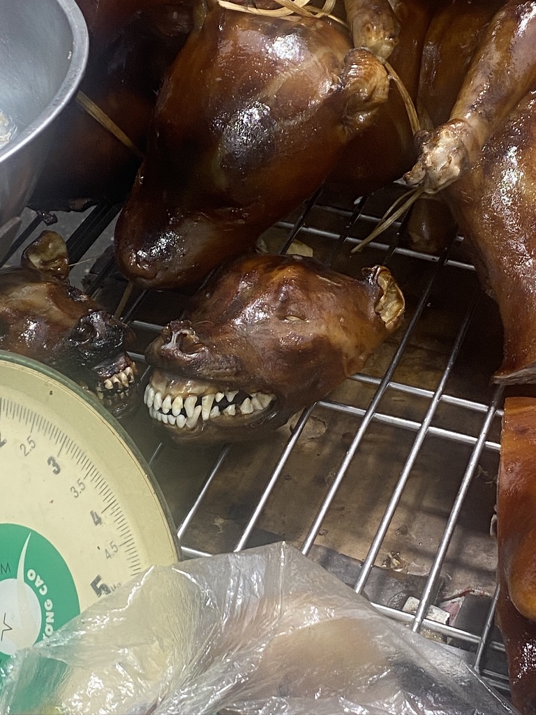 Atrakcje Hanoi – szczery przewodnik po mieście kontrastów 11 grillowane mięso z psa przysmak w Hanoi - Wietnam